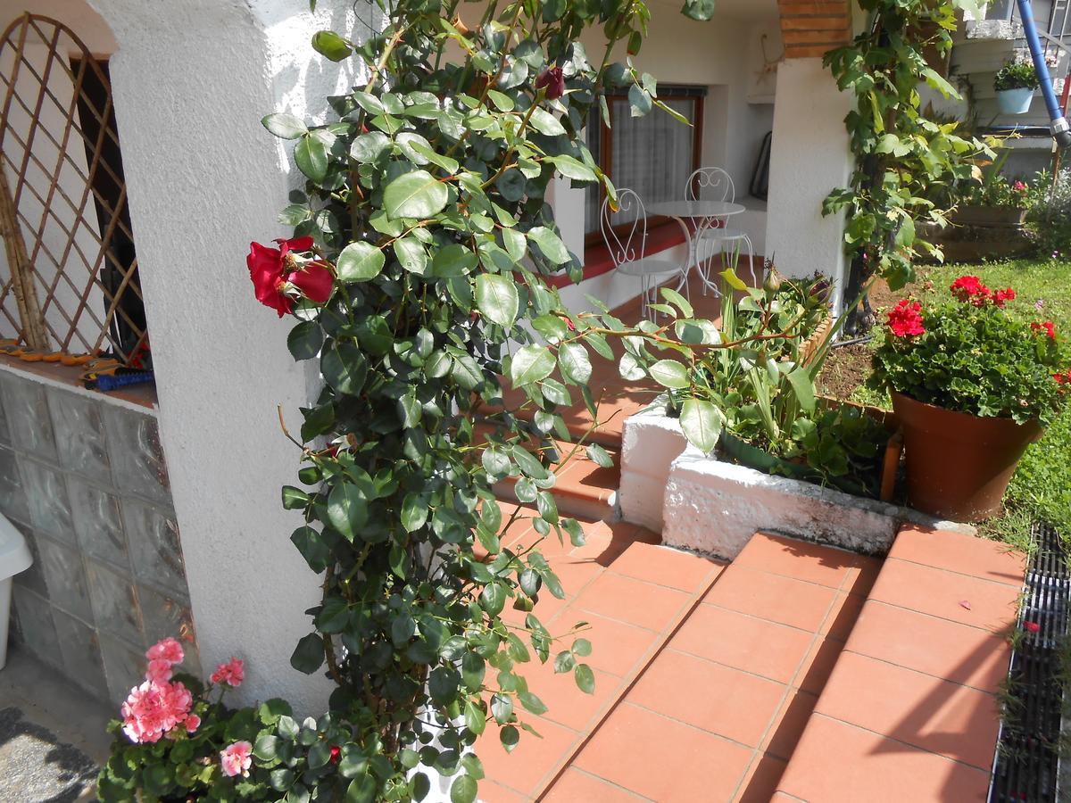Appartamenti Villa Colibri Neggio Dış mekan fotoğraf